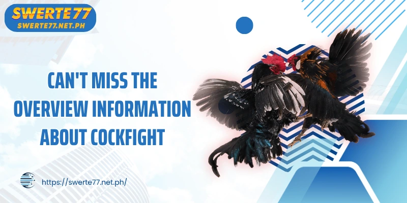 Can't miss the overview information about Cockfight
