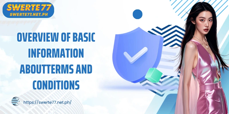 Overview of basic information aboutTerms and Conditions