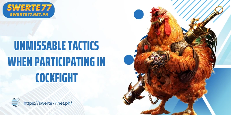 Unmissable tactics when participating in Cockfight