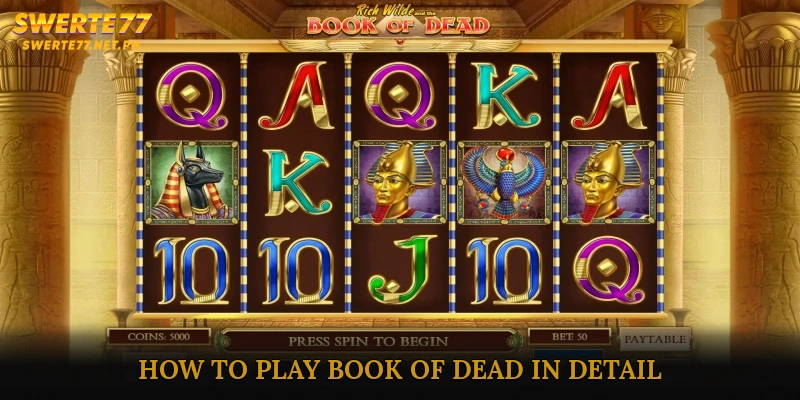 How to Play Book of Dead in Detail