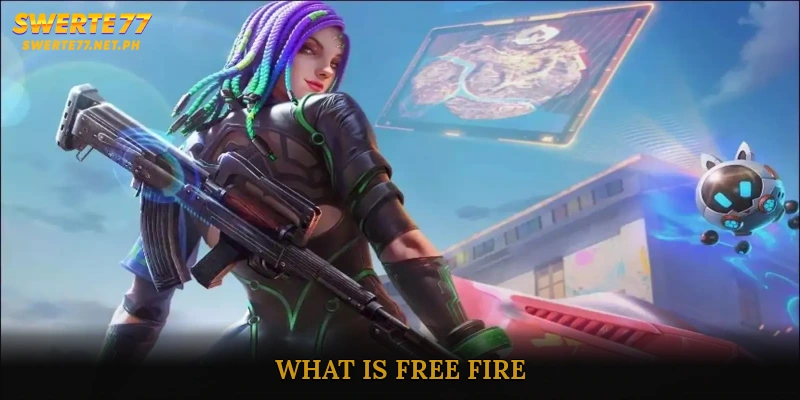 What is Free Fire?