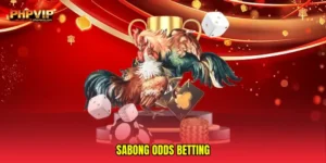 Sabong odds betting
